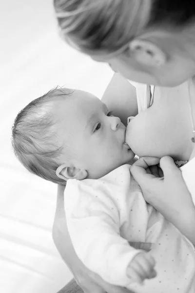 3 个月大婴儿男孩吮吸母亲的黑白肖像 — 图库照片