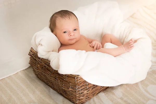 Retrato de bebê recém-nascido bonito menino deitado em grande cesta de vime — Fotografia de Stock