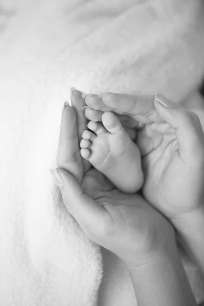 Schwarz-Weiß-Nahaufnahme von neugeborenen Babyfüßen bei Müttern — Stockfoto