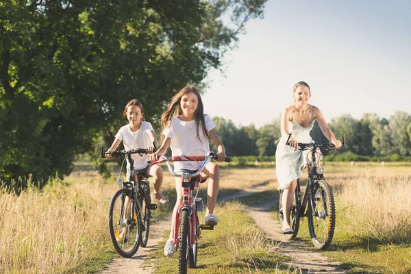 Семейная езда на велосипедах на лугу в солнечный день — стоковое фото