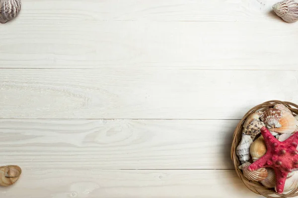 Establecimiento de conchas marinas y estrellas de mar en tablas de madera blanca. Perfec — Foto de Stock