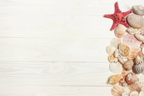 Close-up beeld van schelpen en zeesterren liggend op witte houten bo — Stockfoto