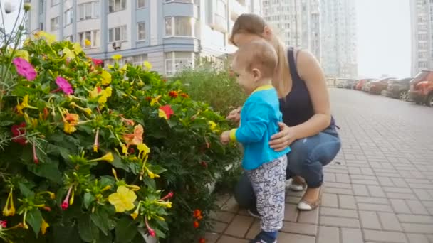 Roztomilý chlapeček s matkou, dívat se na květiny rostoucí na ulici — Stock video
