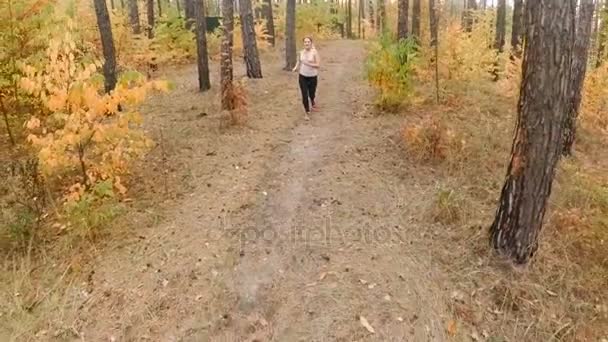 Vidéo au ralenti à partir du point culminant de jeune femme souriante jogging à la forêt — Video