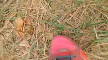 POV görüntüleri ormanda çalıştıran runner ayak