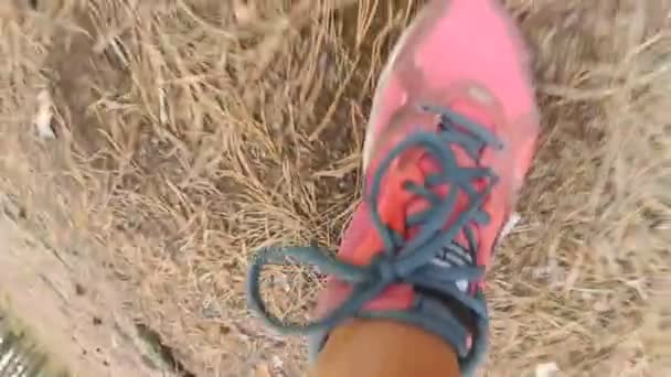 Fechar imagens de câmera lenta de pés femininos em tênis correndo na floresta — Vídeo de Stock