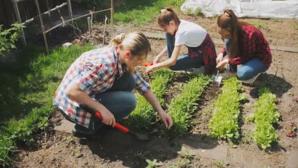 4k video of two sisters with mother working in garden at backyard — Stock Video