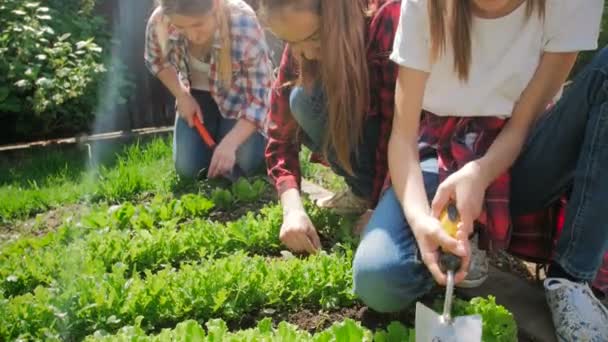 4k Nahaufnahme Video von Kindern, die an einem heißen, sonnigen Tag mit ihrer Mutter im Garten arbeiten — Stockvideo