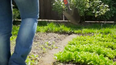 Genç kadının sulama arka bahçe yürüyüş olabilir taşıyan Slow motion video