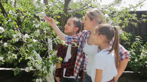 Slow-motion video van de jonge moeder haar dochters onderwijzen hoe te verzorgen van boomgaard — Stockvideo