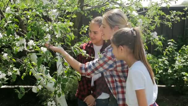 Slow-motion video van het verzorgen van appelbomen in de boomgaard en gelukkige familie — Stockvideo