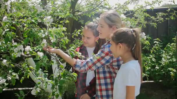 4k відео красивої жінки, яка навчає своїх дочок, як доглядати за квітучими ратами в саду — стокове відео