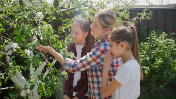 4k video de dos niñas con madre joven oliendo flores de manzano en el huerto — Vídeos de Stock