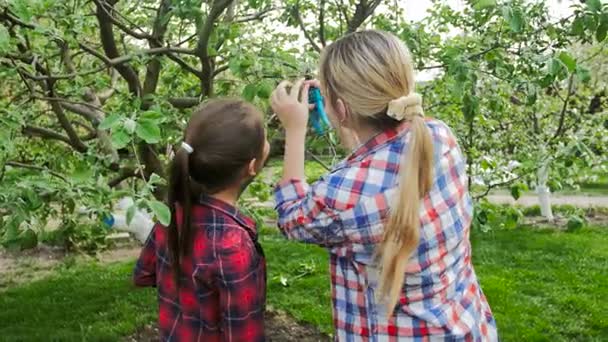 4 k-video av vacker ung kvinna visar hennes dotter blad och grenar på blommande äppelträd på orchard — Stockvideo