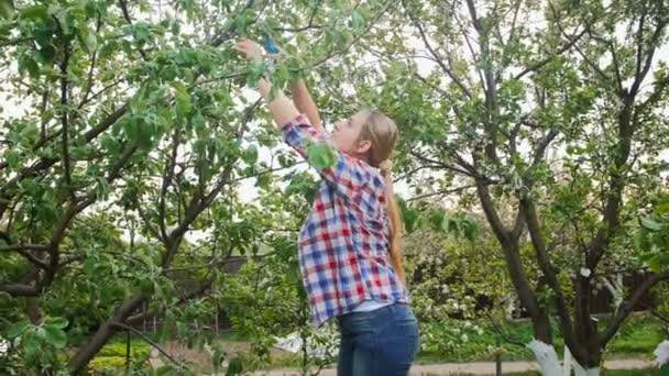 4 k-video av ung kvinna som arbetar i trädgården och klippa grenar från äppelträd — Stockvideo