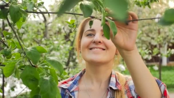 Primer plano de cámara lenta de hermosa mujer sonriente cortando ramas de manzano con podadoras — Vídeos de Stock