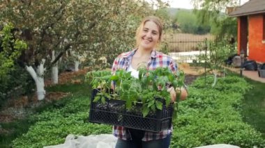 Ağır çekim video mutlu kadın bahçıvan Bahçe sebze filizi tam Tepsili ayakta