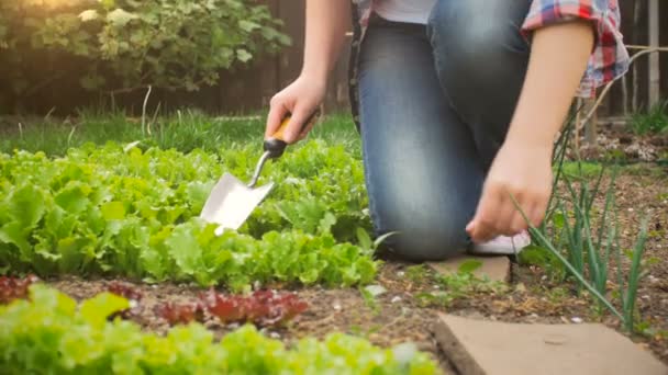 4 k closeuip atış Garden Bahçe aletleri ile çalışan genç kadın — Stok video