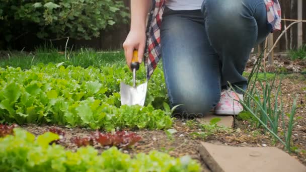 4 k video van vrouwelijke tuinman graven gat in de grond voor het planten van salade — Stockvideo