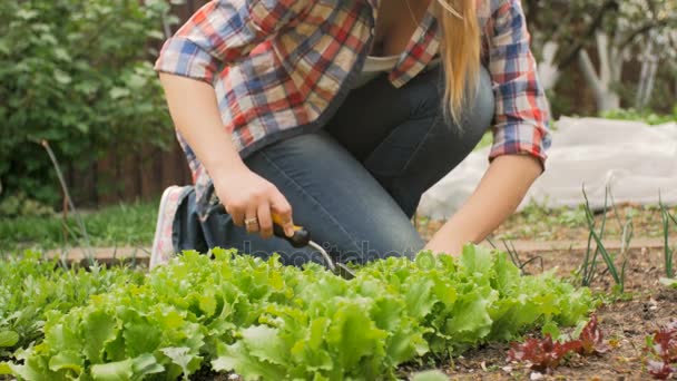 4k primer plano de la joven mujer que trabaja en el jardín con herramientas de jardinería — Vídeo de stock
