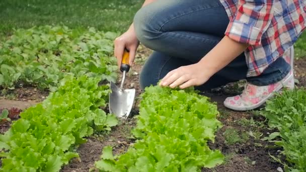 Slow motion video of young female farmer removing weeds from soil at garden — Stock Video