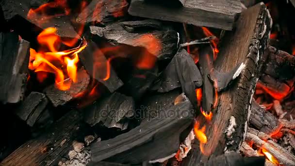 Slow motion shot of burning wooden logs in grill — Stock Video