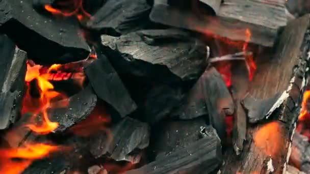 Closeup slow motion toned video of burning coal and wooden logs — Stock Video