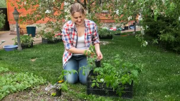 Beautiful young woman sitting in garden and planting tomato seedlings — Stock Video