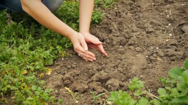 Imágenes de primer plano de 4k de una agricultora recogiendo y vertiendo tierra en el campo — Vídeo de stock