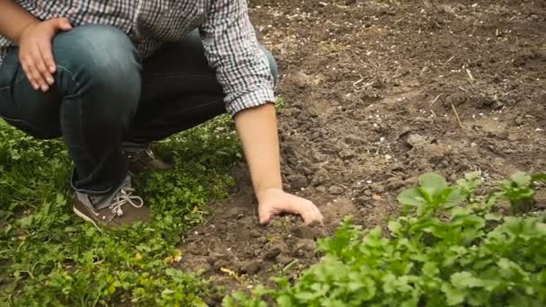 Slow motion video of farmer picking up handful of soil from garden — Stock Video