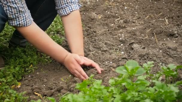 Slow motion beelden van droge bodem verstrooiing van boeren hand — Stockvideo