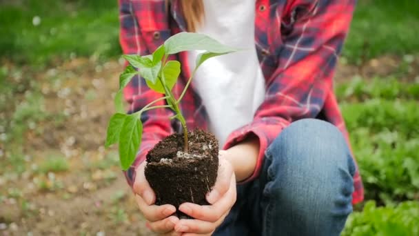 Closeup video of girl with seedling in hands at garden — Stock Video