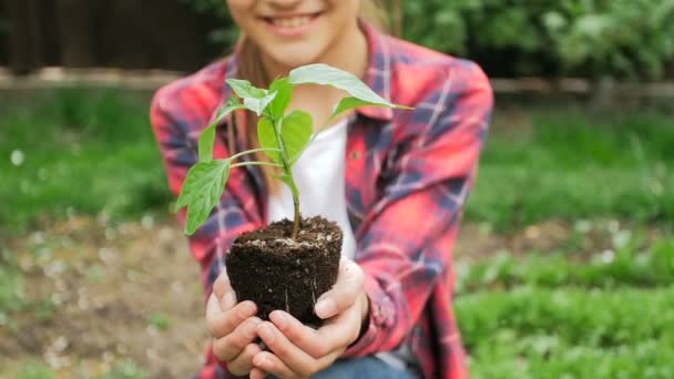 Vídeo em câmera lenta de menina sorridente segurando a planta cultivada de sementes de pimenta nas mãos — Vídeo de Stock