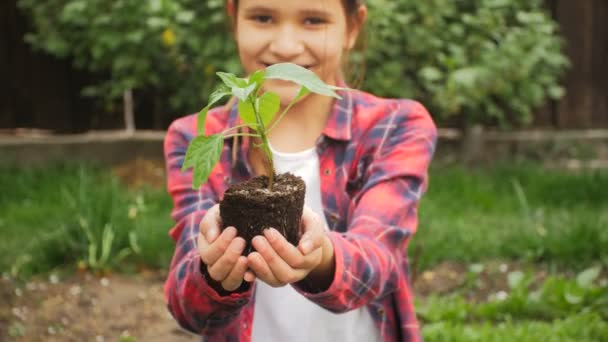4k video of cute smiling girl holding plant seedling in hands — Stock Video
