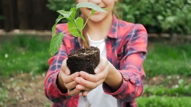 Slow motion van glimlachen meisje bedrijf handvol bodem met zaailing van de plant in de tuin — Stockvideo