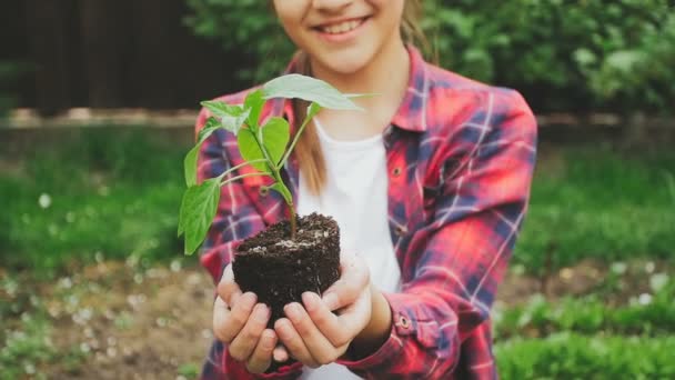 植物の苗を手で保持して笑顔の 10 代の少女のクローズ アップ スローモーション映像 — ストック動画