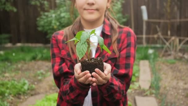 Close seup slow motion shot of girl holding soil and plant seedling in hands — Stok Video