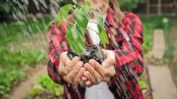 Медленное видео, где молодая фермерша держит под водой капусту из-под полива — стоковое видео