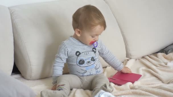 Mignon tout-petit assis sur le canapé et essayant de débloquer smartphone — Video