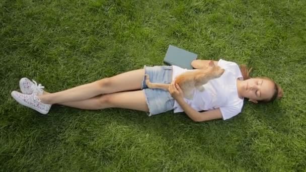 Aufnahme von oben: junges Mädchen liegt mit Buch auf Gras im Park und streichelt rote Katze — Stockvideo