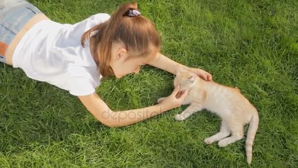 Vista desde la parte superior en feliz sonrisa chica acariciando lindo gatito rojo en la hierba en el parque — Vídeos de Stock