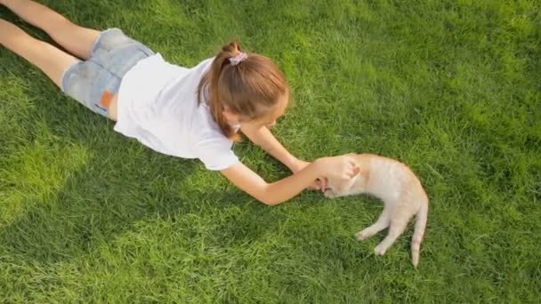 Vue du dessus plan de belle fille couchée sur l'herbe avec chaton rouge — Video