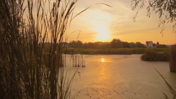 Красивий ставок і силуети на заході сонця — стокове відео