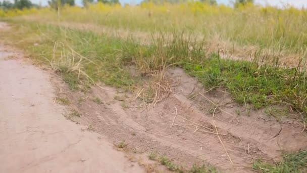 Närbild av Suv ridning genom grop i grusvägen vid landsbygden — Stockvideo