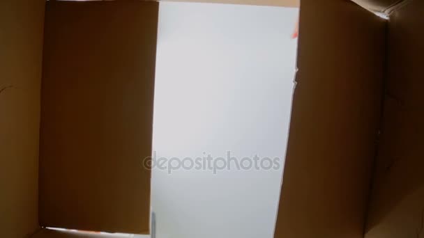 Vista desde el interior de la caja de cartón abierta y cerrada — Vídeos de Stock