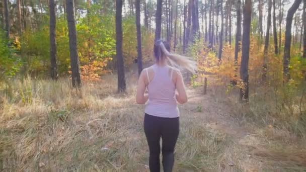 Movimiento lento de la mujer joven corriendo en el bosque de pinos por la mañana — Vídeos de Stock
