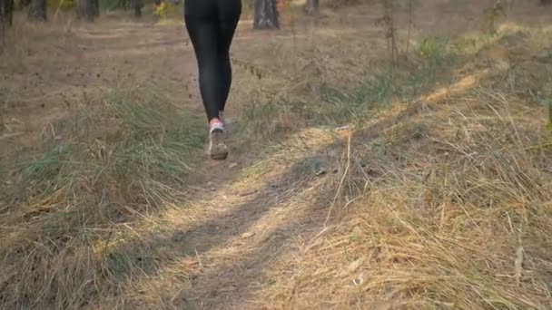Крупный план неуклонного снимка женских ног в кроссовках, бегущих в лесу — стоковое видео