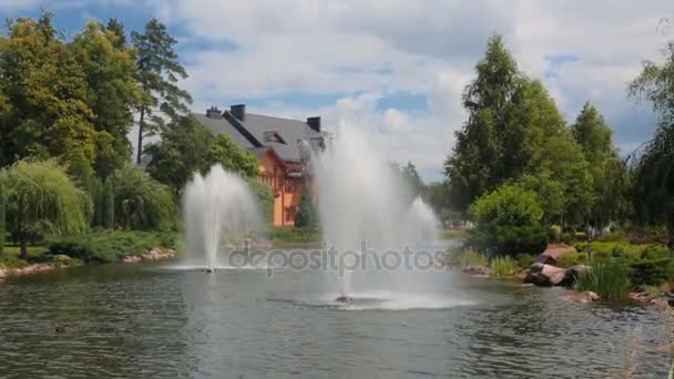 Schöner Park mit großem Teich und Springbrunnen bei sonnigem Tag — Stockvideo