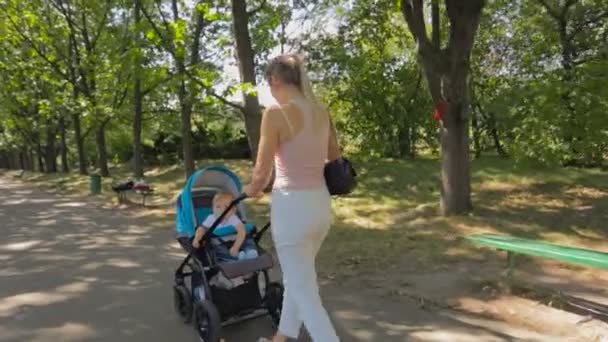 Steadicam βολή του νεαρή μητέρα σπρώχνοντας το καρότσι του μωρού στο πάρκο — Αρχείο Βίντεο