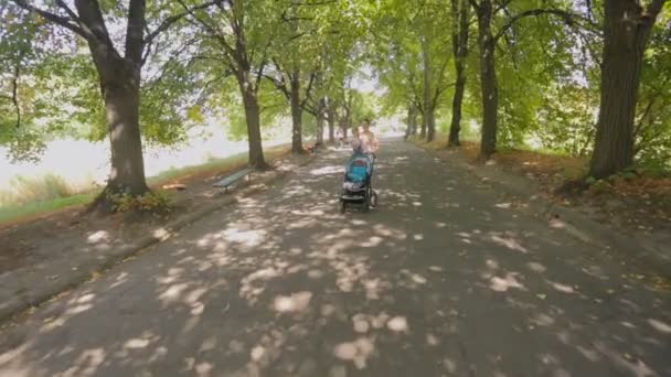 Szczęśliwa młoda matka, chodzenie z jej synkiem na pięknej alei w parku — Wideo stockowe